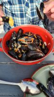 Miesmuscheln