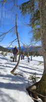 Schneeschuhwanderung zur Hämmermoosalm
