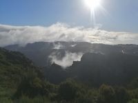 Auf dem Weg zum Pico do Arieiro: die Straße schlängelt sich durch dichte Wälder 