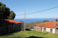 Parthenonas