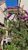 Tag2_Split-Altstadt
