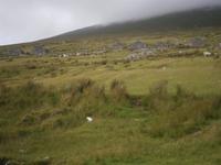 Deserted Village