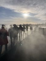 Am Laugarvatn (1)