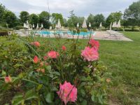 Pool am Relais Corte Cavalli