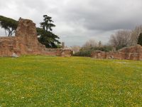 006 Rom, Palatin, 18.3.24