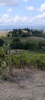 Weingut in der Toskana