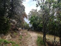 Wanderwege