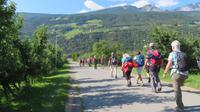 Durch die Apfelplantagen nach Obermontani