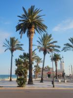 Manfredonia/Apulien/Italien