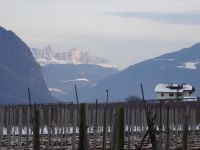 Blick Rosengarten