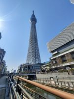 Skytree