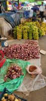 4. Marktbesuch in Colombo