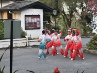 ...in den Cameron Highlands (1)