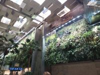 Flughafen Singapur - gut angekommen