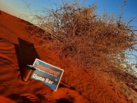 Nature Drive - Gondwana Kalahari Park - Sundowner