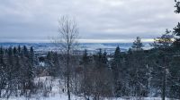 Oslo - Auffahrt zum Holmenkollen - Die schönste U-Bahn-Fahrt der Welt - Blick auf den Oslofjord