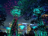 Die spektakuläre Lichtshow an den Supertrees in Singapur