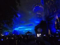 Borealis Lightshow