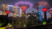 Garden by the Bay. Singapur 