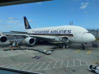 Ankunft in Auckland – mit dem Airbus A380 von Singapore Airlines