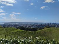 Blick vom Mount Eden 