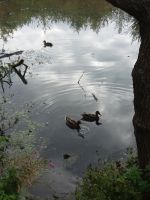 See im Ökopark