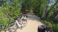 E-Bikes im ornithologischen Naturschutzgebiet Salzmorast