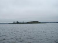 Komoraneninsel