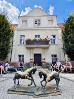 Tag 1 - Posener Ziegen