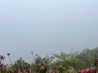 ... leider im Nebel