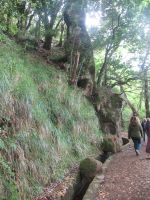 Auf dem Levada Weg