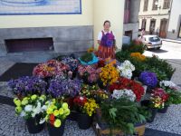 Blumenverkäuferin vor der Markthalle