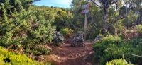 4 Wanderung Lorbeerwald