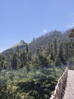 Tag 1 Blick auf Lorbeerwald am Hotel Encumeada 