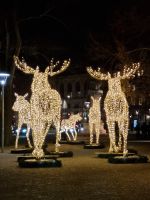 Weihnachtlicher Spaziergang durch Stockholm -