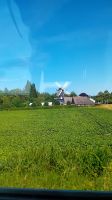 Gedser Dänemark Windmühle
