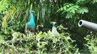 Am Fort Siloso - Sentosa Island (1)