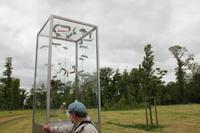 Tornadodenkmal im Stadtpark Grossenhain