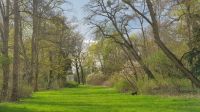 Dessau - Park am Schloss Georgium - Venustempel