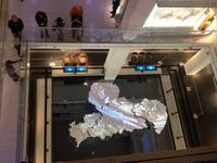 Führung im Smac- Staatliches Museum für Archäologie