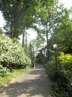 Central Park