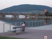 DSCN0478  alte Mainbrücke mit Mainzer Tor und 