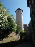 DSCN0498  Weißer Turm