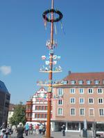 DSCN0541  Maibaum