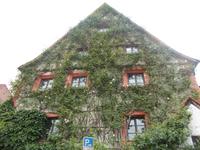 DSCN0566  Dornröschen Haus