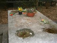  Gedenkstein für Walter von der Vogelweide