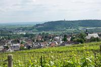 Blick auf Rüdesheim