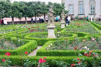 Im Rosengarten der Neuen Residenz