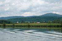 Im Hintergrund der Bayrische Wald