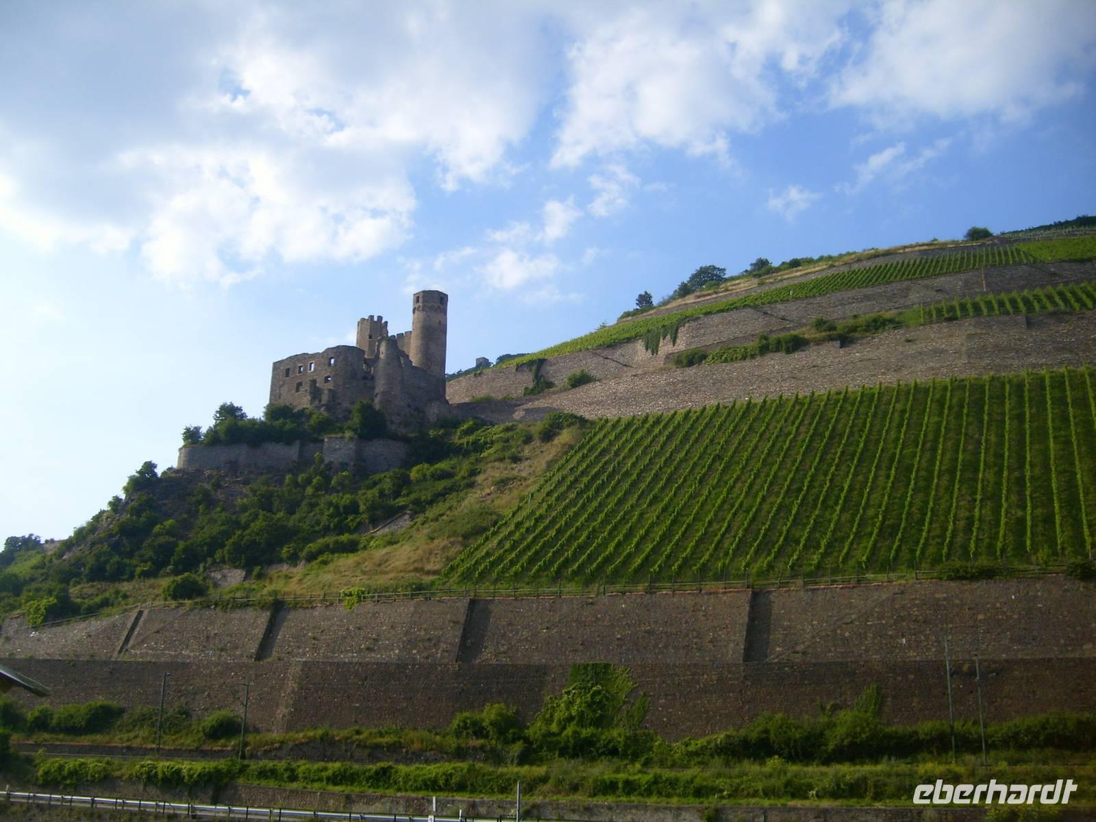 Weinanbaugebiet - Rießling